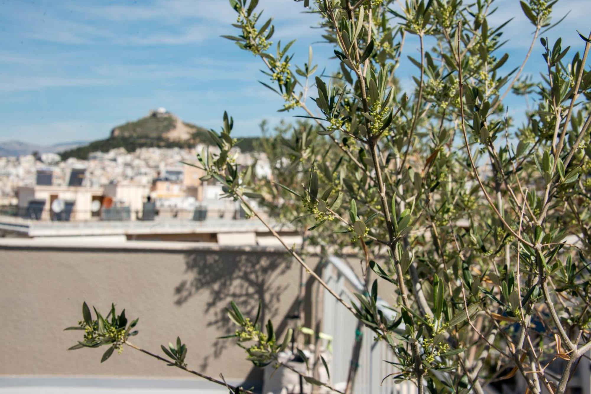 The Athenian Oasis Apartamento Exterior foto